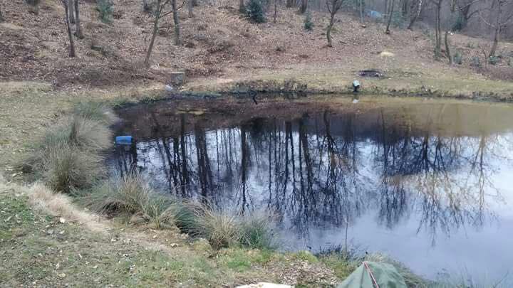 Lago di Serle, a che punto è la bonifica della pozza Medér
