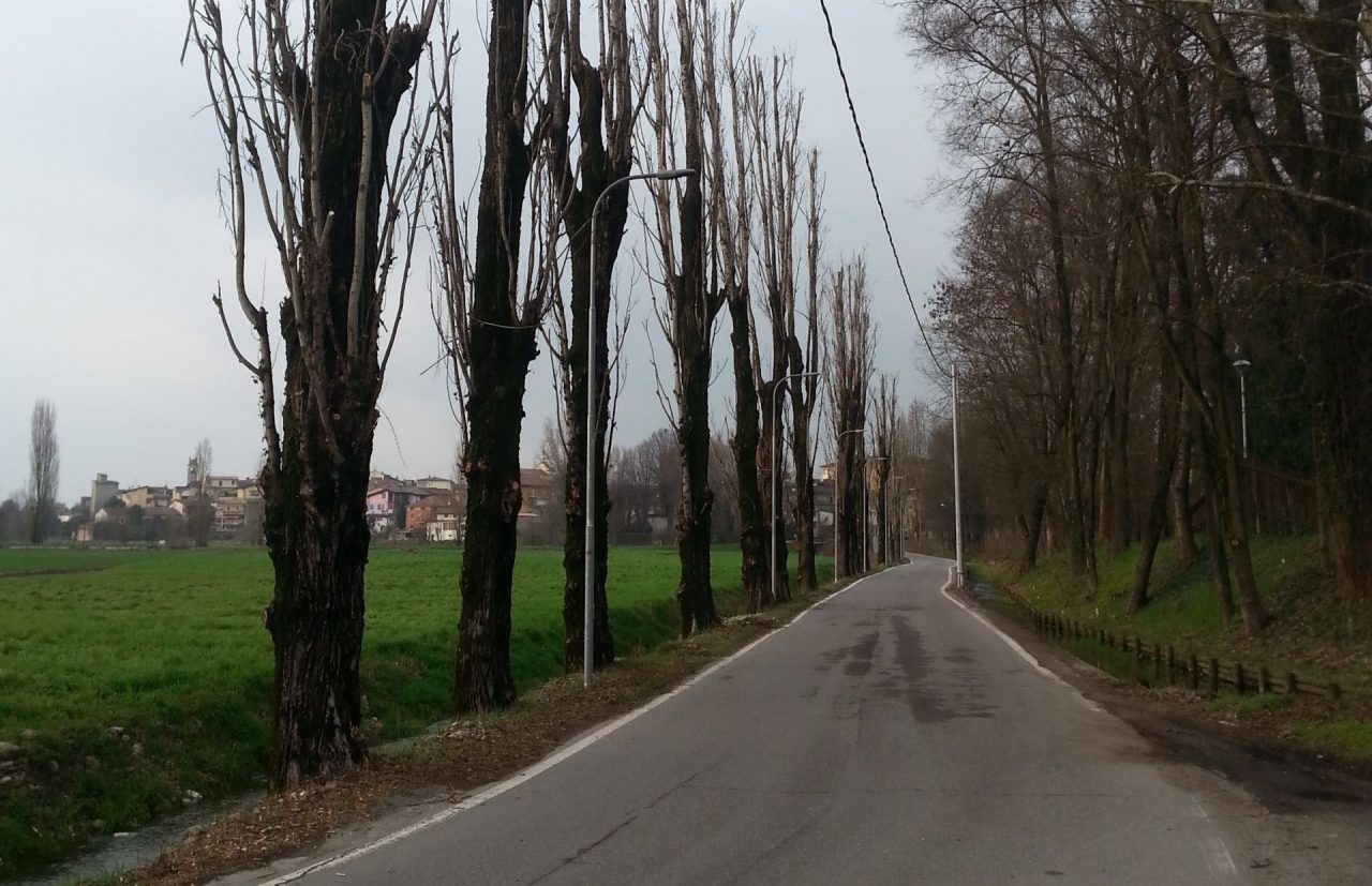 Nuovo look per il parco dell’Oglio a Rudiano