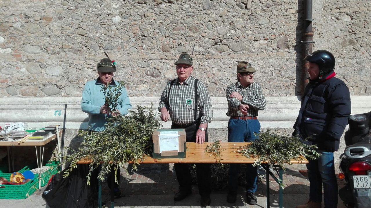 Domenica delle Palme, festa per Montichiari