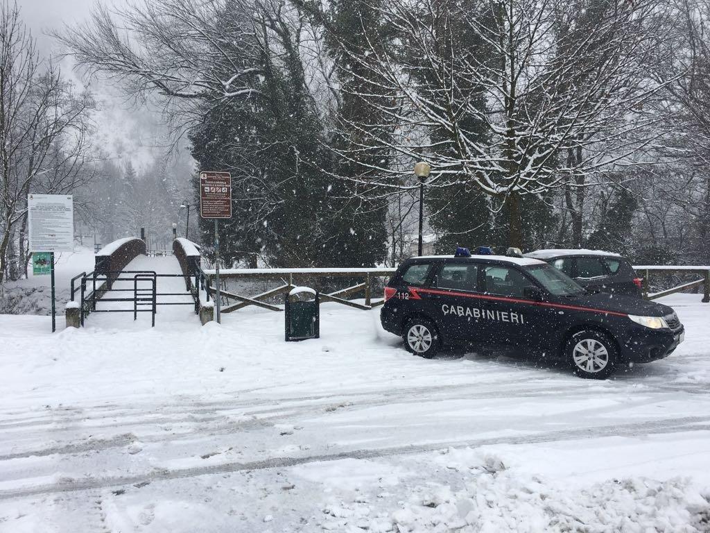 Rubavano rame al parco