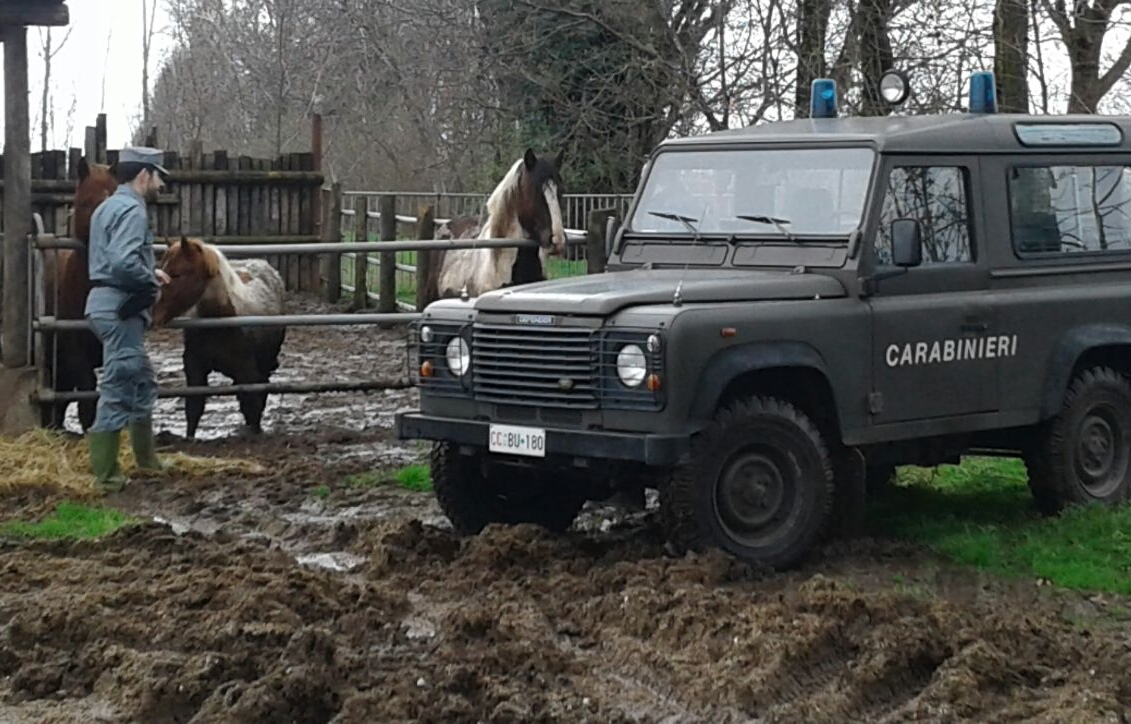 A Bagnolo un terreno agricolo diventa discarica abusiva