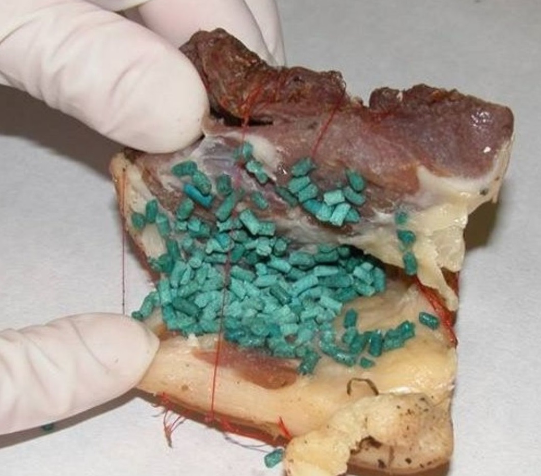 Cani uccisi dai bocconi avvelenati a Provaglio