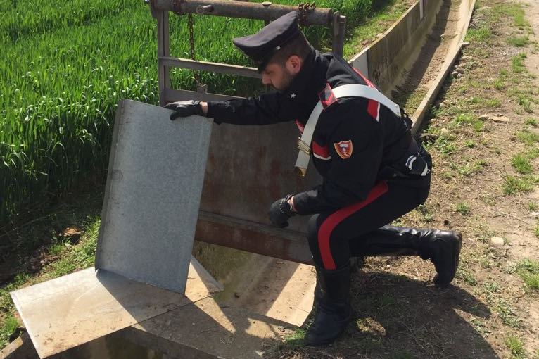 Rubavano in campagna: arrestati due pontogliesi