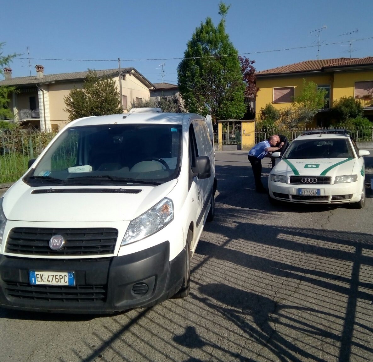 Rottweiler scappano e aggrediscono Interviene la Locale di Calvisano