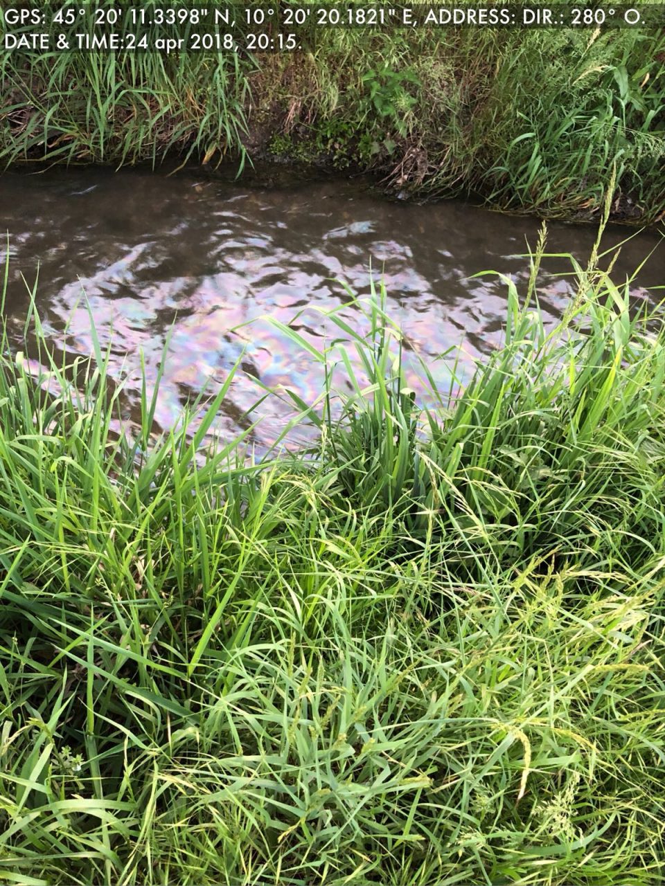 Idrocarburi nella roggia di Calvisano Indagini aperte