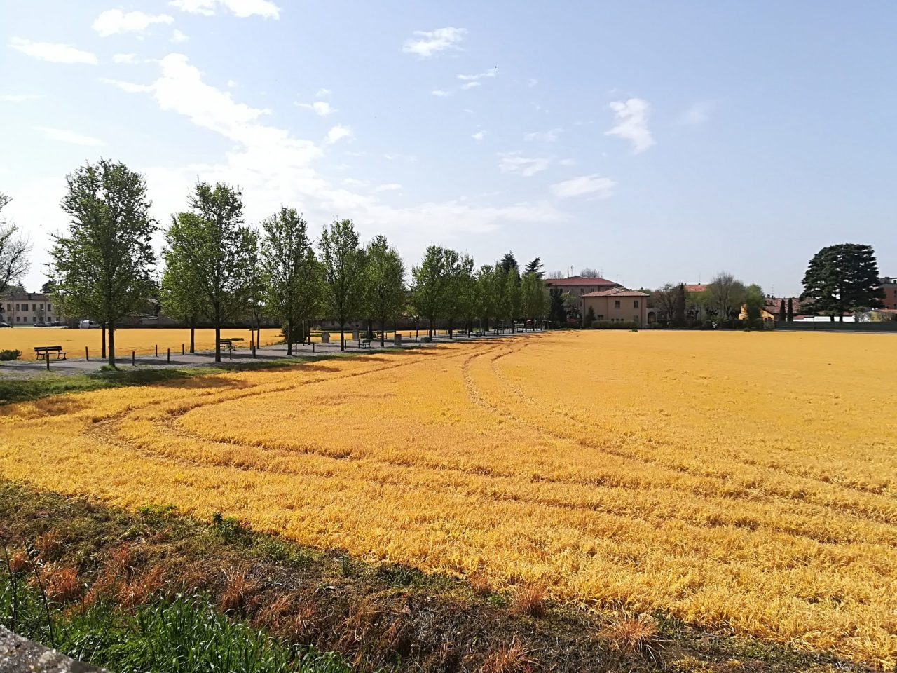 Allarme diserbante a Castegnato, ma tutto sembra regolare