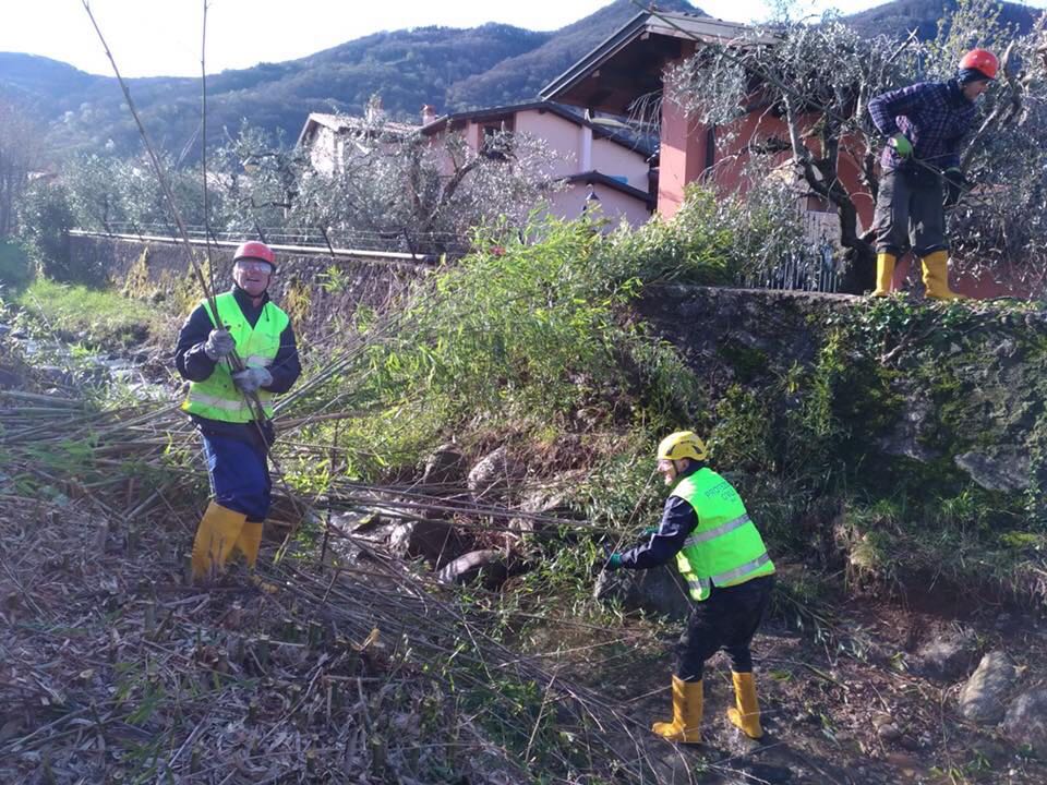 Via le canne dal torrente: la Protezione Civile Iseo ripulisce il Cortelo