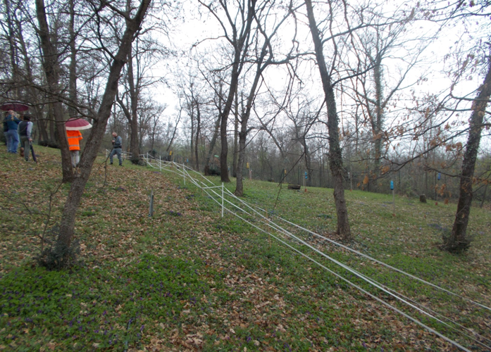 Taglia il bosco sottoposto a vincolo paesaggistico scatta la denuncia