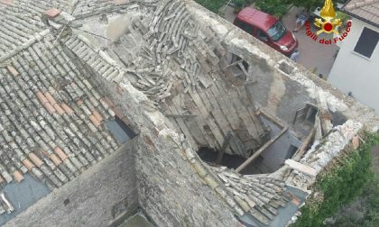 Crolla tetto salvate civette - GALLERY