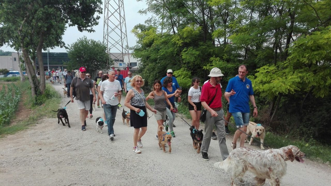 Passeggiata a sei zampe a Montichiari LE FOTO