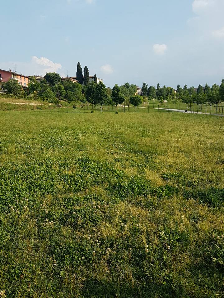 Timori per la chiusura dell’area cani di Pozzolengo