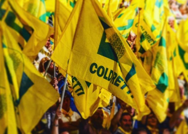 Obbligo vaccinale, nei campi interessa un lavoratore su tre