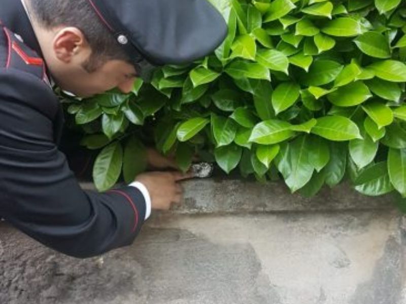 Arrestato spacciatore ventenne a Chiari