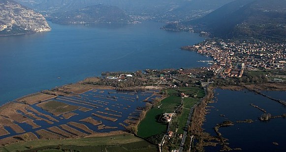 Cercasi collaboratore per la Riserva delle Torbiere