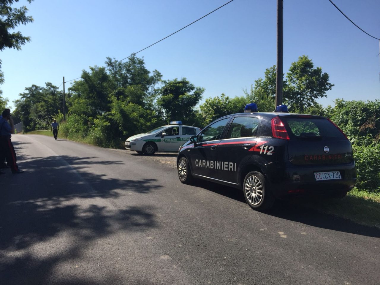 Toro in fuga fra Manerbio e Cigole, catturato con l’anestetico – IL VIDEO