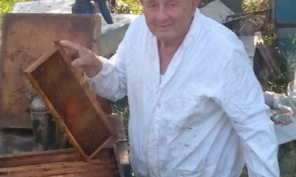 Giovanni Porrini a Calvisano cura 3 milioni di api