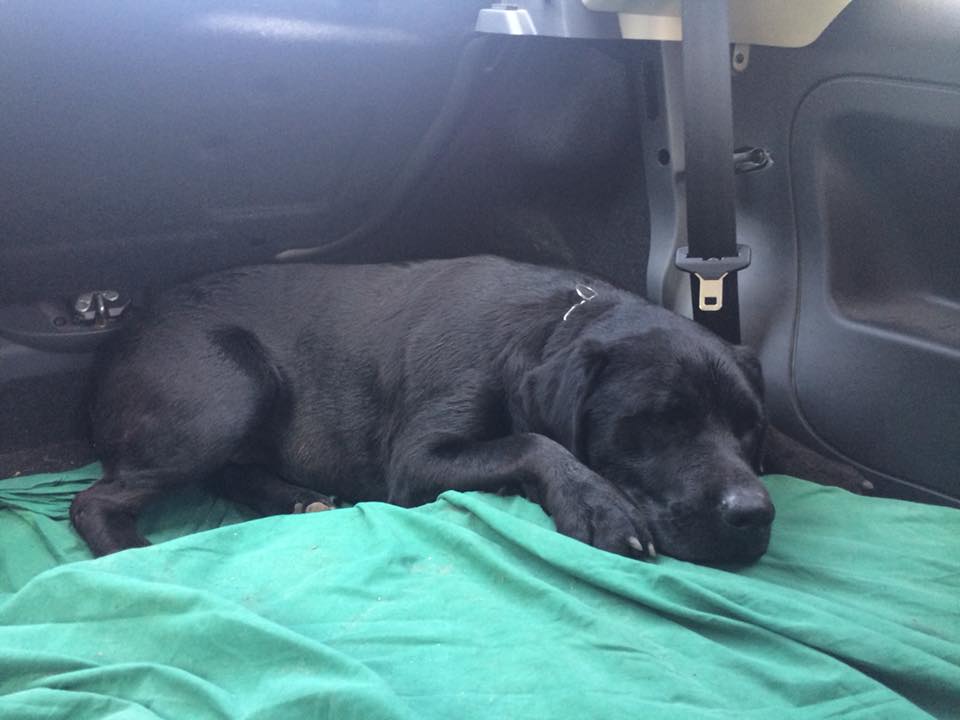 Tutti cercano Margot a Trenzano e a Maclodio