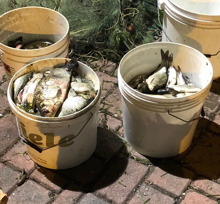 Reti abusive sequestrate a Clusane dalla Provinciale