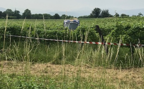 Auto finisce in un campo a Calvagese della Riviera