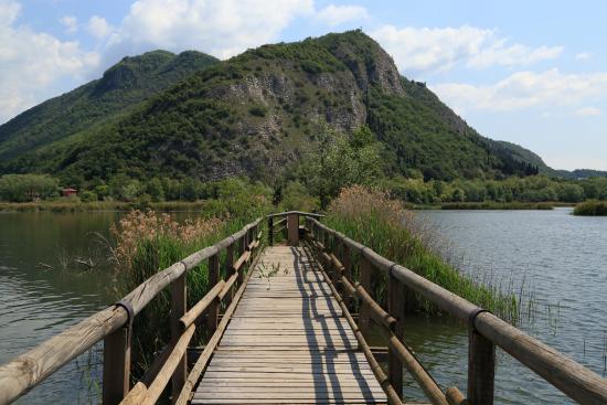 Vigilanza nelle Torbiere: siglato l’accordo con tre associazioni