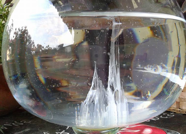 La barca di San Pietro, la tradizione contadina si rinnova questa notte