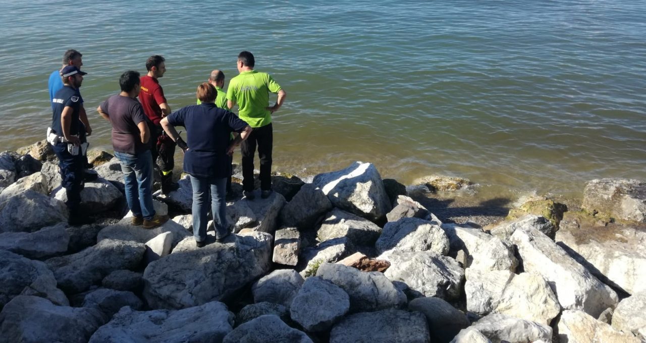 Acqua marrone vicino alla Spiaggia d’oro di Desenzano