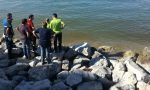 Acqua marrone vicino alla Spiaggia d'oro di Desenzano