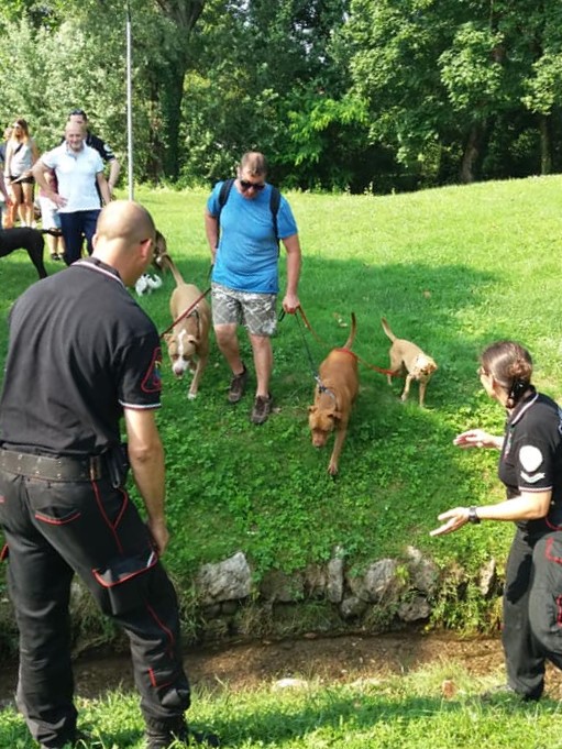 Il corso “Cane buon cittadino” ha conquistato Flero