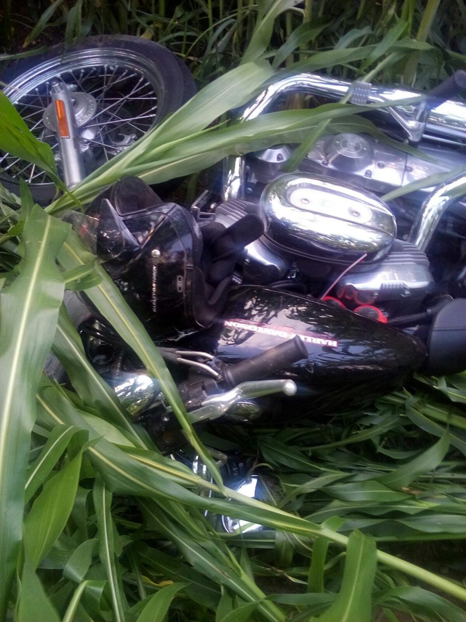 Centauro ferito a Chiari: trasportato in elicottero