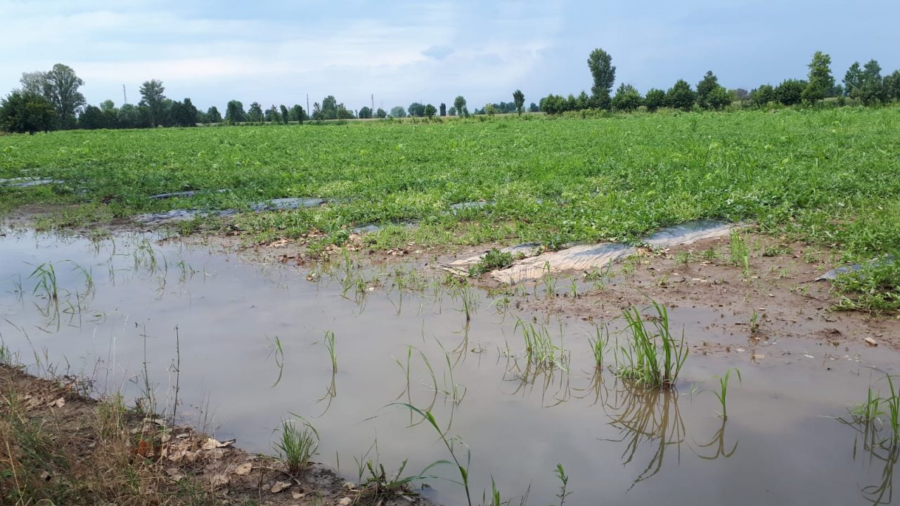 Maltempo nel Bresciano si fa la conta dei danni