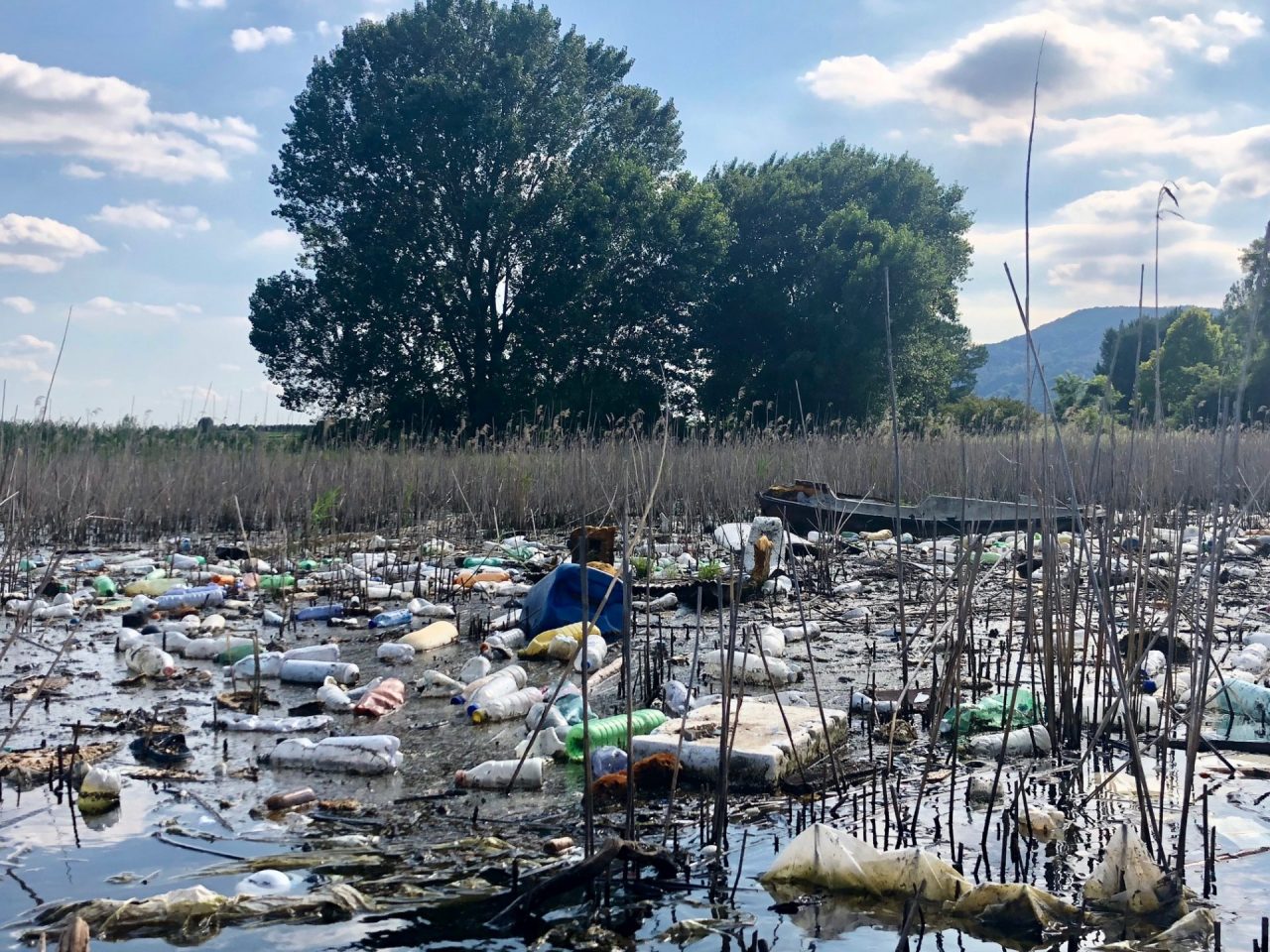 Amici della Riserva al via con la prima attività