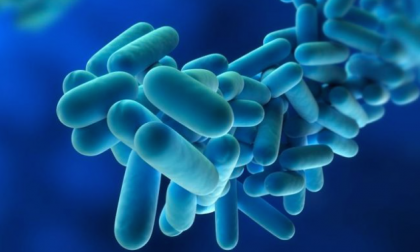 Legionella a Cazzago: un ordinanza per prevenire la diffusione