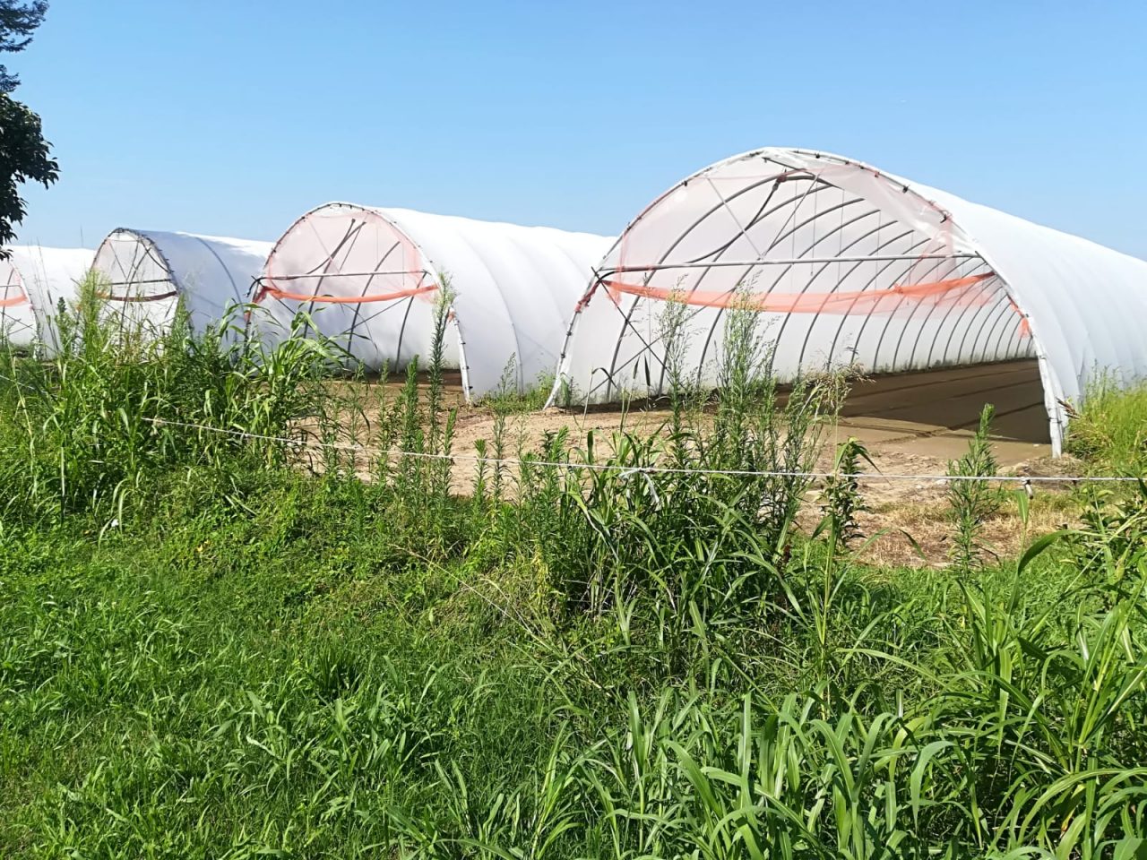 Serre abusive: la questione torna a scuotere Mairano