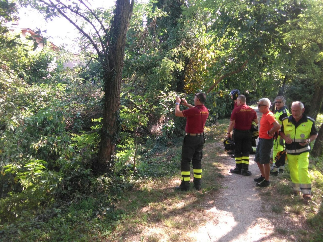 Albero caduto nella roggia a Chiari Sul posto i pompieri IL VIDEO