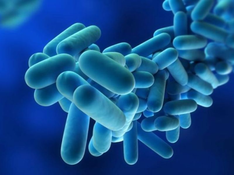 Polmonite da legionella ad Asola: le condizioni ambientali potrebbero favorire la proliferazione
