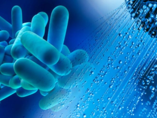 Legionella in Lombardia, c’è un secondo morto
