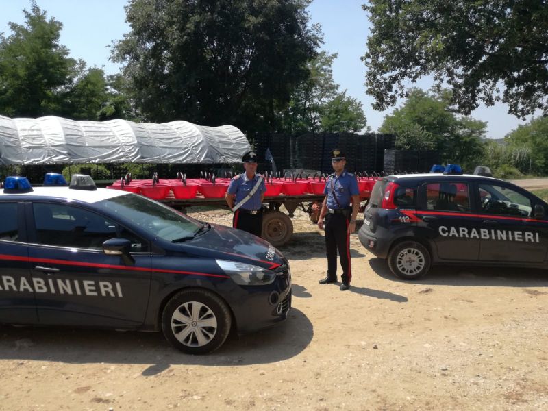 Caporalato e sfruttamento manodopera clandestina, due arresti e una denuncia