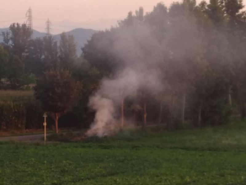 Temperature roventi: sterpaglie in fiamme a Travagliato VIDEO