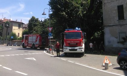 Albero caduto a Chiari, intervento in corso dei Vigili del fuoco VIDEO