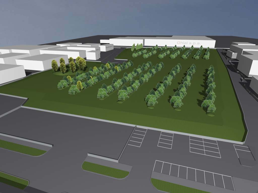 Da discarica a polmone verde: nel futuro della Pianera c’è un bosco