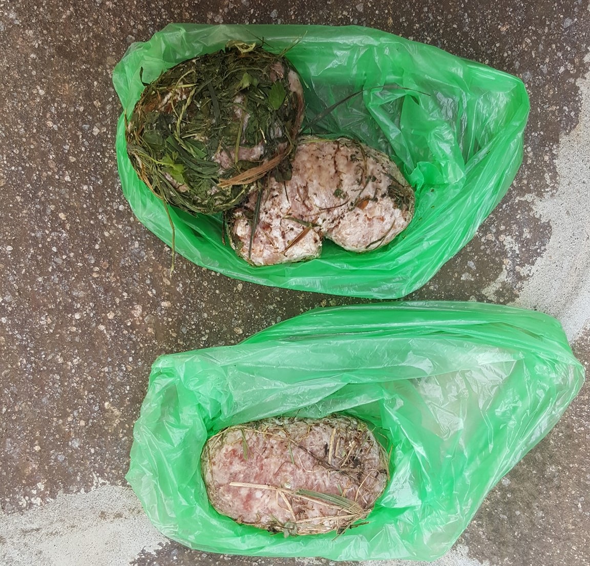 Bocconi avvelenati nei parchi di Poncarale