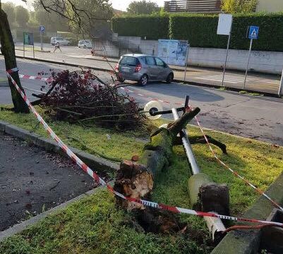 Temporale a Castenedolo l’albero si porta via il palo