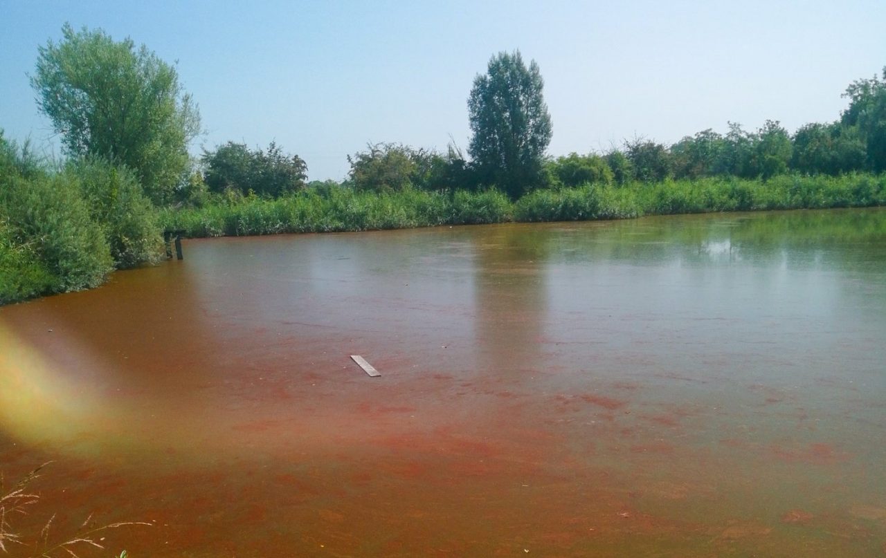 Alghe rosse nel laghetto Pai: preoccupazione a Cazzago