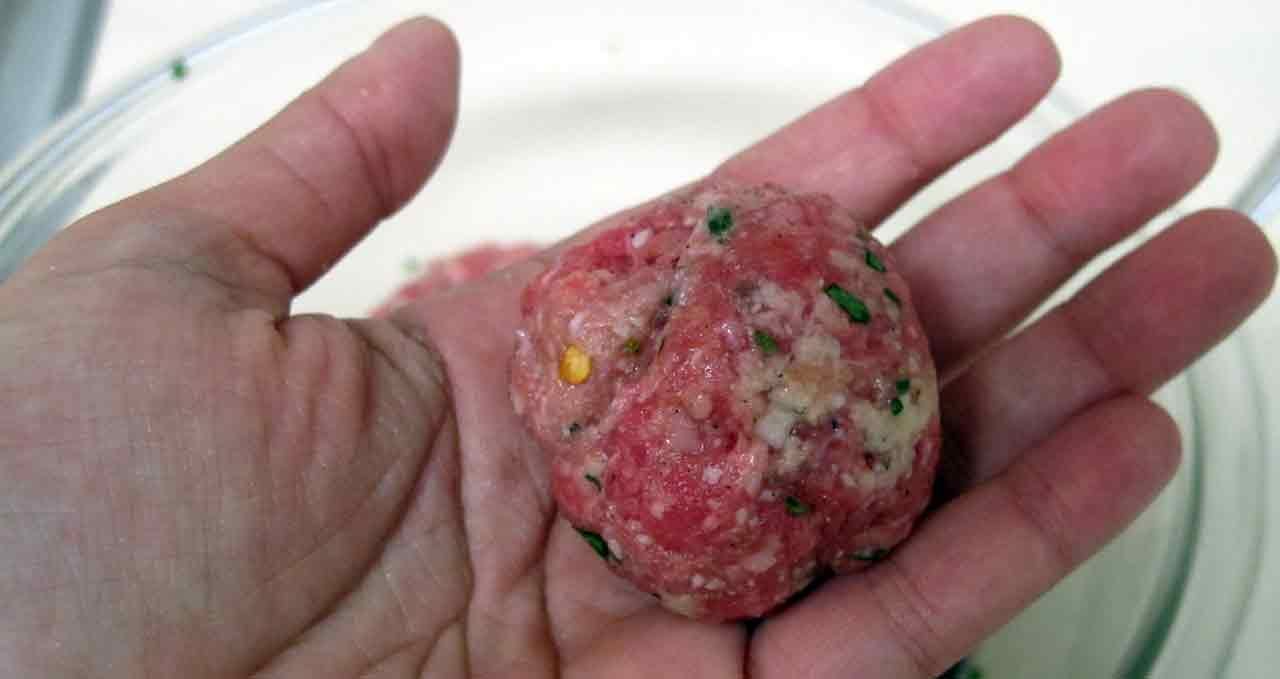 Bocconi avvelenati, muore un cane