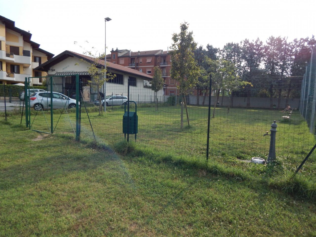 I cani passano… da sotto la rete a Chiari