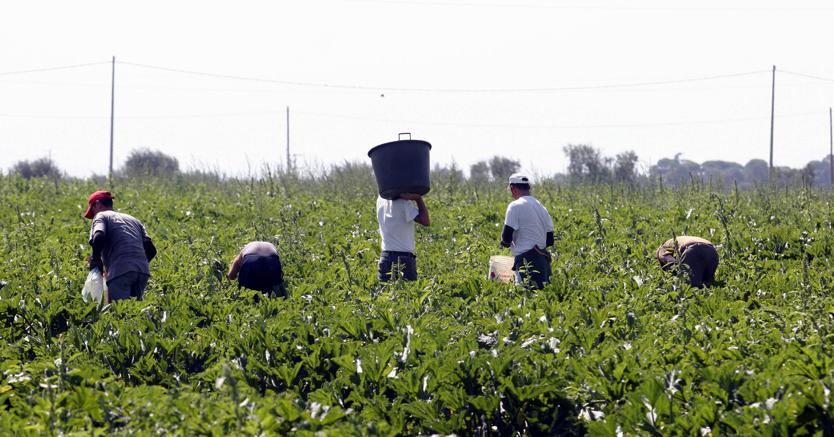 Caporalato ad Asola: sei persone dritte in carcere