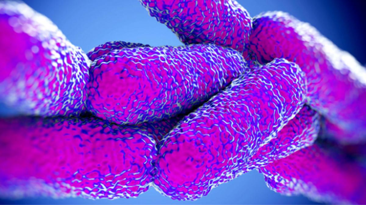 L’epidemia di legionella è stata per colpa del fiume Chiese? Ats Val Padana chiarisce la situazione