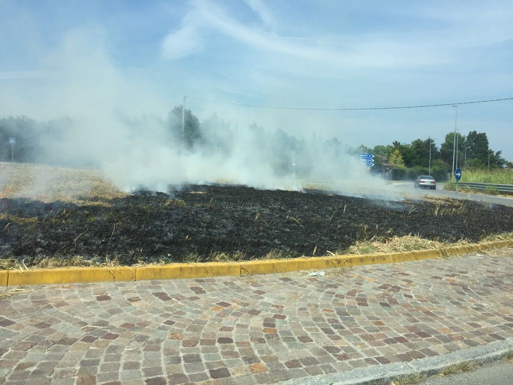 Rotonde in fiamme caccia al piromane