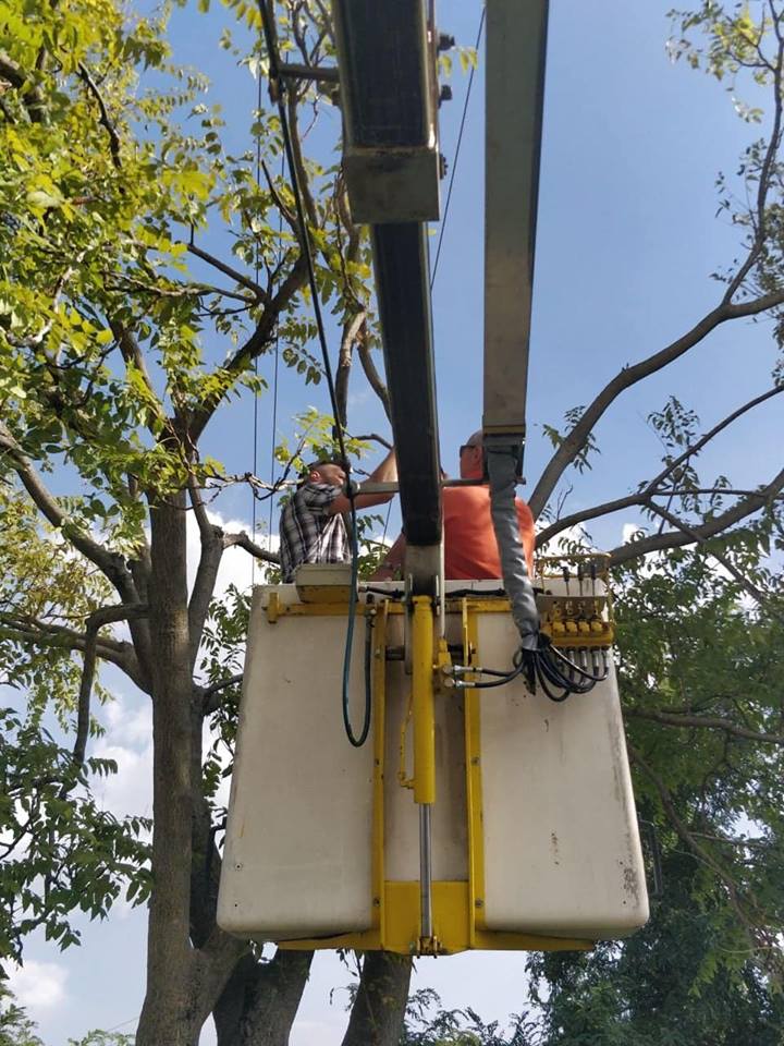 Montichiari dichiara guerra ai furbetti dei rifiuti, da stasera le fototrappole