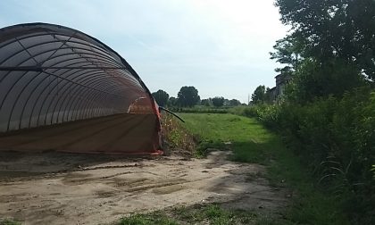 Serre di Mairano: continua la battaglia